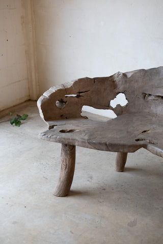 Jungle Bench