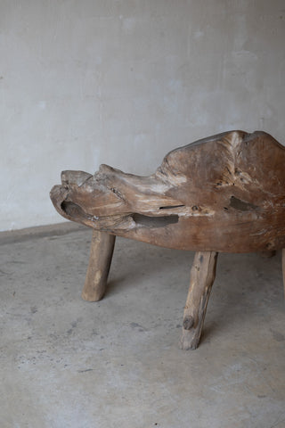 Jungle Bench