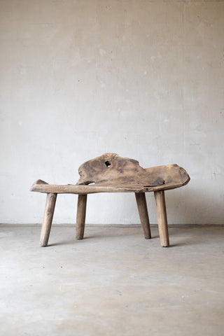 Jungle Bench