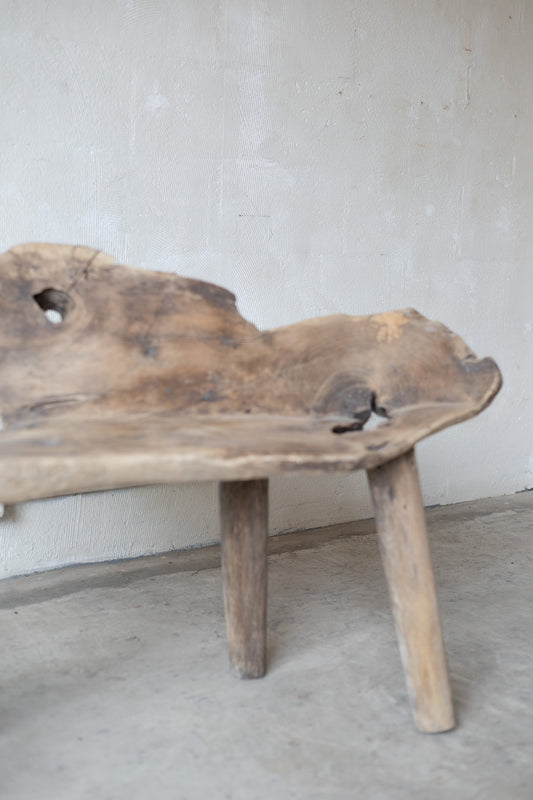 Live Edge Teak Bench