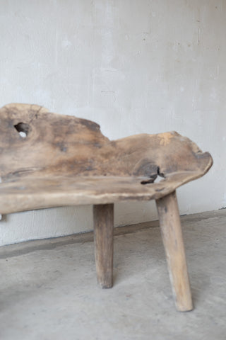 Jungle Bench