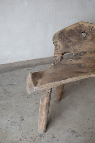 Jungle Bench