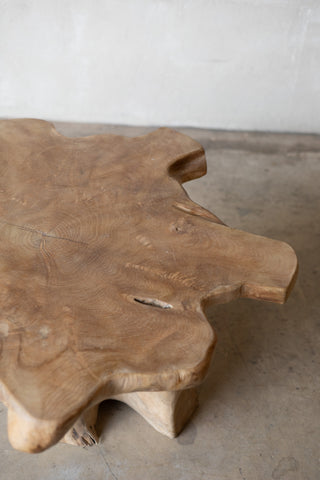 Life Edge Jungle Side Table