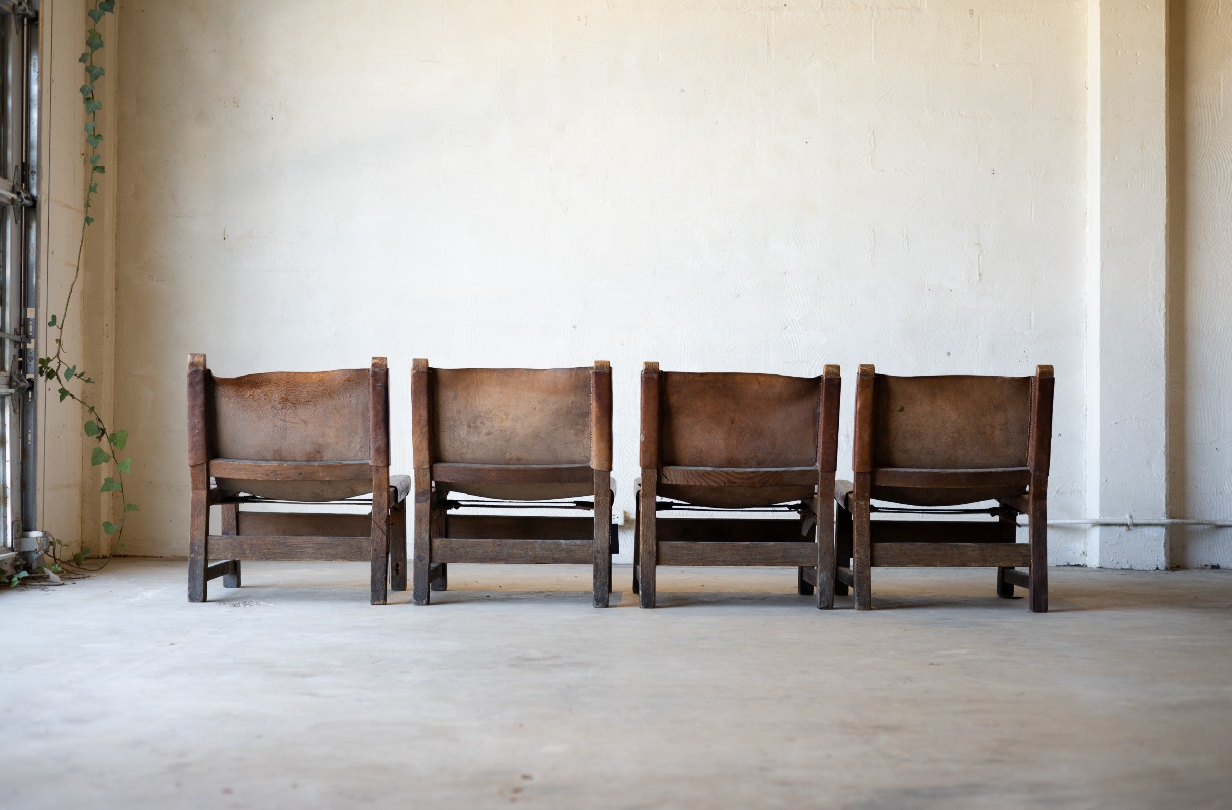 Back side of four vintage brown leather sling chairs lined up against a plain wall.