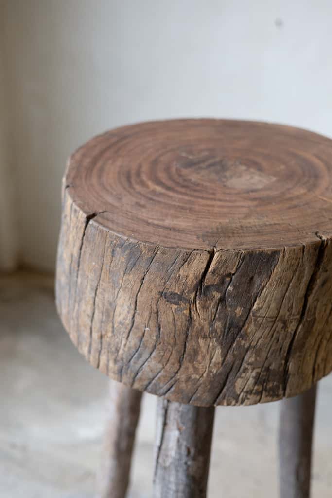 Detail of butcher block table showing stump's natural rings.