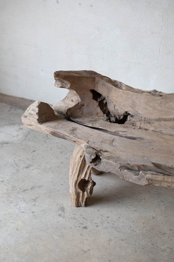 A rustic live-edge wooden bench made from a natural tree root, shown in a minimalist room with a concrete floor and a textured off-white wall.