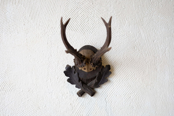 Wide shot of roe antlers mounted on dark oak plaque with two leaves carved into the bottom,