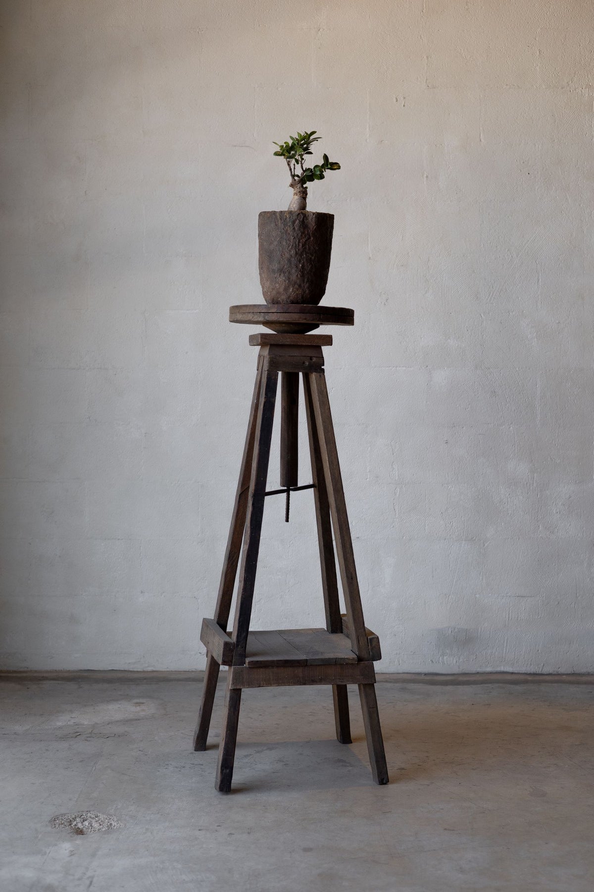 Reclaimed wood sculpture stand holding a small plant in a vintage pot. Main image