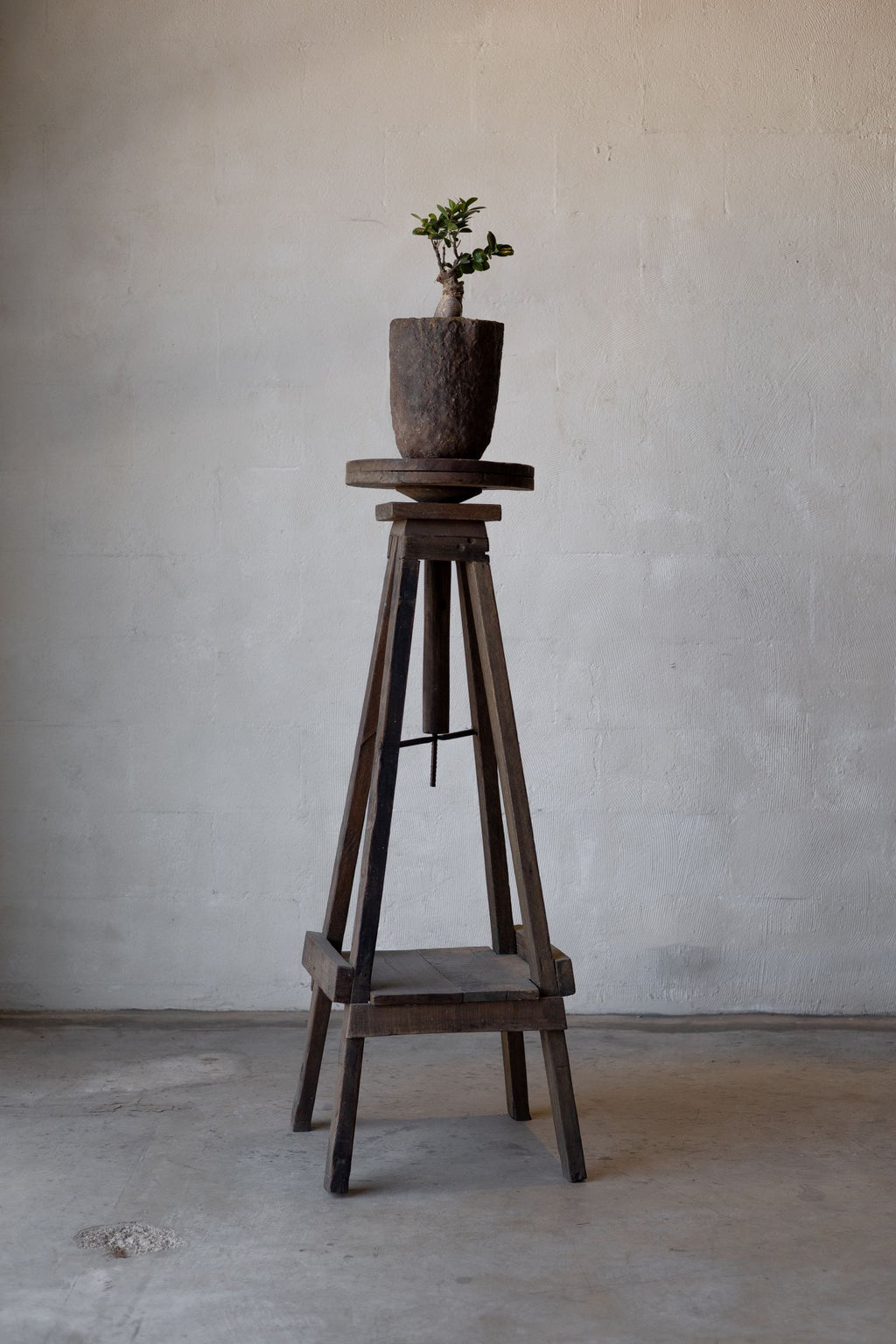 Reclaimed wood sculpture stand holding a small plant in a vintage pot.