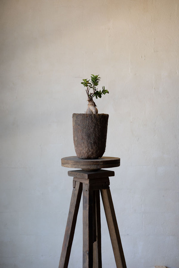 Reclaimed wood sculpture stand holding a small plant in a vintage pot.