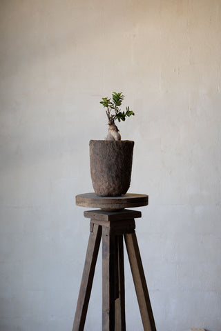 Reclaimed wood sculpture stand holding a small plant in a vintage pot.