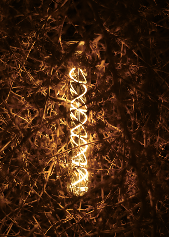 a bottle that is sitting in the grass